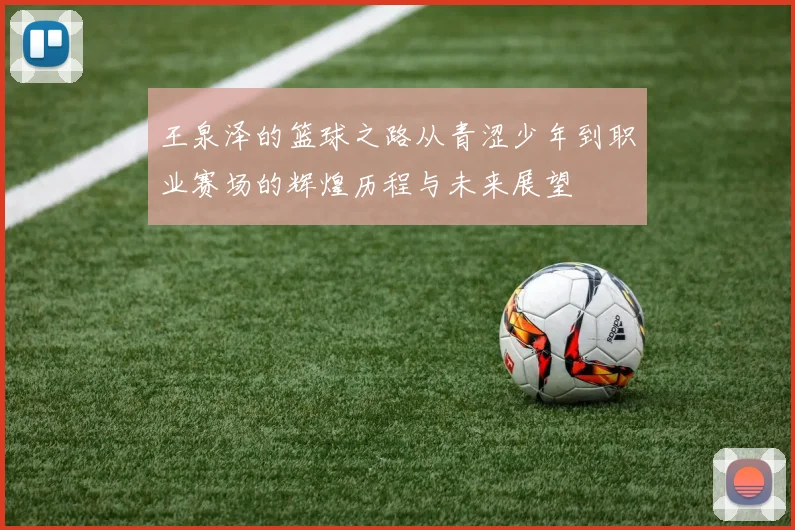 王泉泽的篮球之路从青涩少年到职业赛场的辉煌历程与未来展望