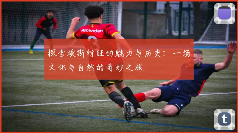 探索埃斯特旺的魅力与历史：一场文化与自然的奇妙之旅