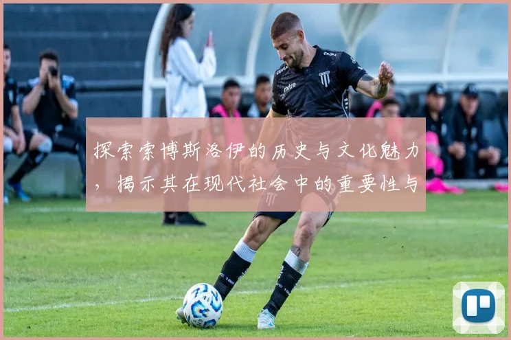 探索索博斯洛伊的历史与文化魅力，揭示其在现代社会中的重要性与影响力