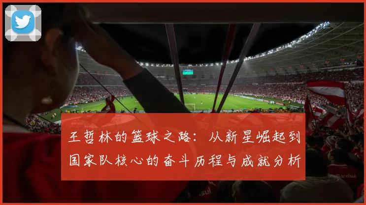 王哲林的篮球之路：从新星崛起到国家队核心的奋斗历程与成就分析