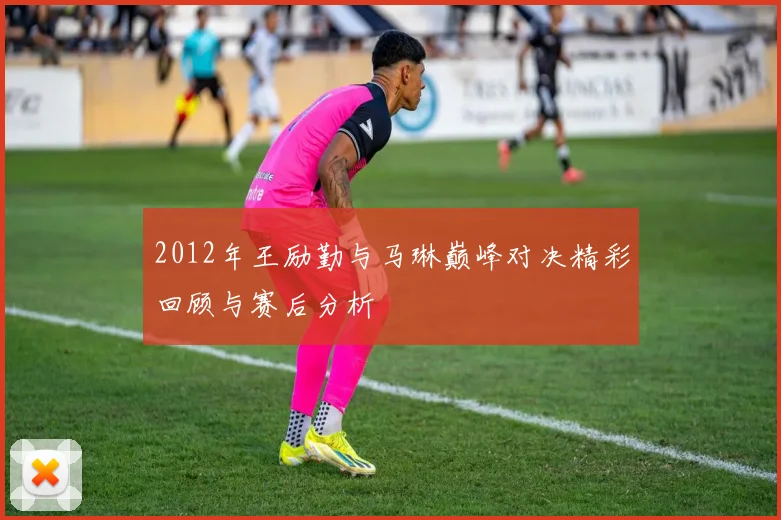 2012年王励勤与马琳巅峰对决精彩回顾与赛后分析