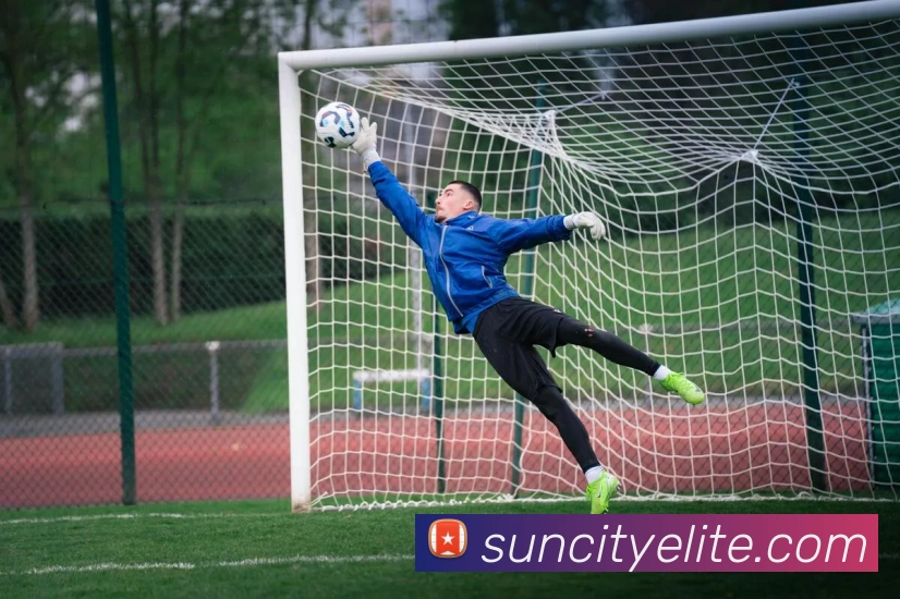 多媒体互动体验